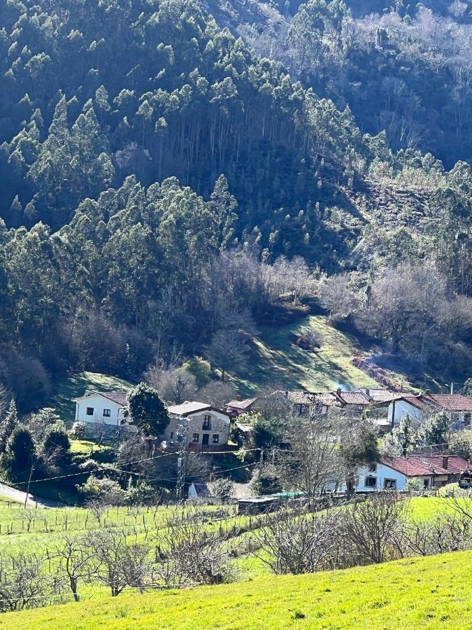 La Vierta Casa Rural Agroturismo 리바데세야 외부 사진